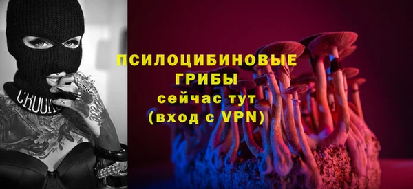 прущий лед Армянск