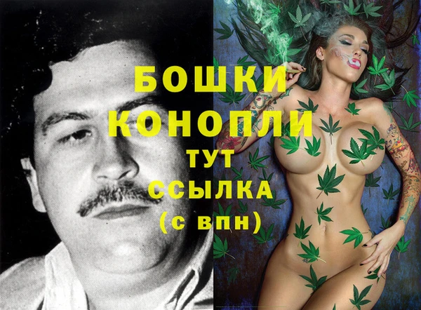 молекула духа Аркадак