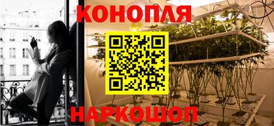 крисы Гусиноозёрск