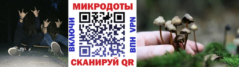 Псилоцибиновые грибы ЛСД дарнет шоп Можга
