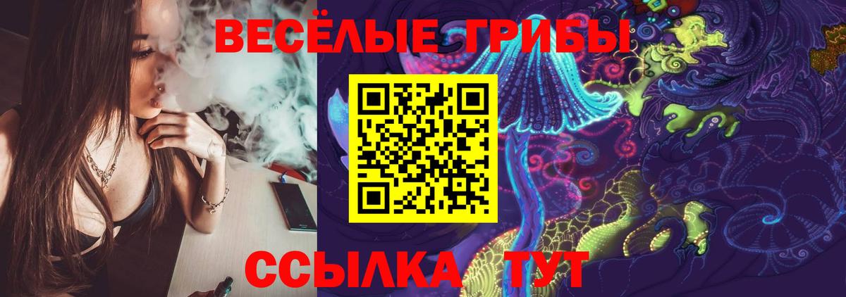 Псилоцибиновые грибы Psilocybe  купить   Можга  Вход с VPN 